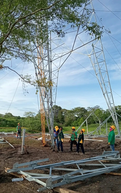 Líneas de transmisión eléctrica