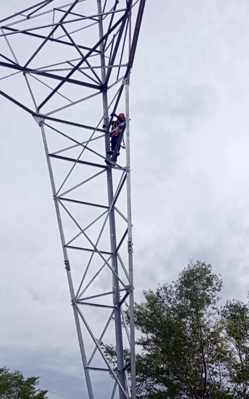 Líneas de transmisión eléctrica