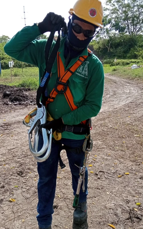 Líneas de transmisión eléctrica