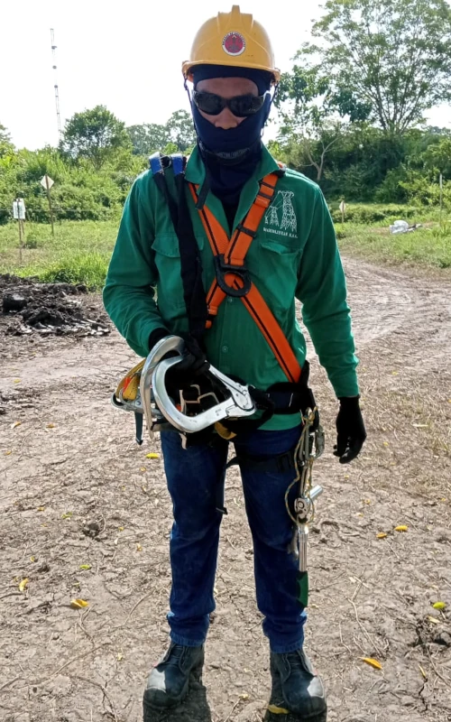 Líneas de transmisión eléctrica