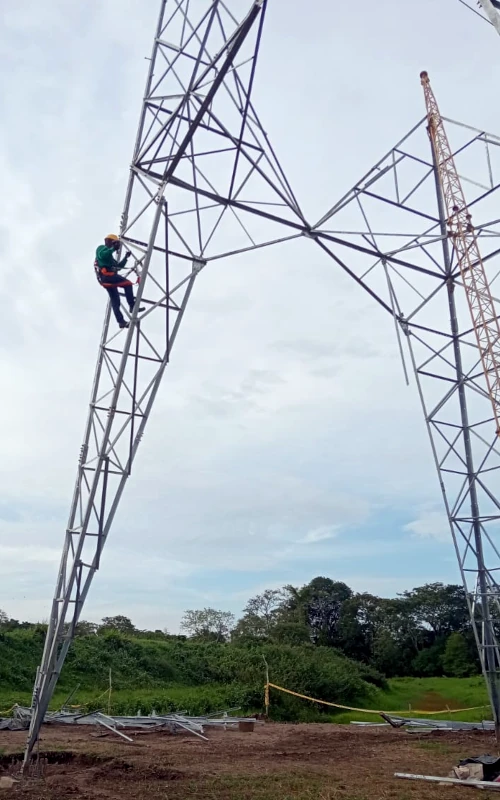 Líneas de transmisión eléctrica
